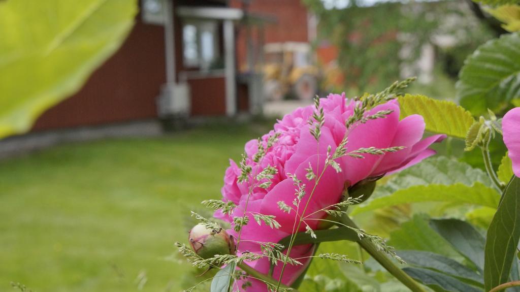 Marbys Gaestrum Mårby Exterior foto